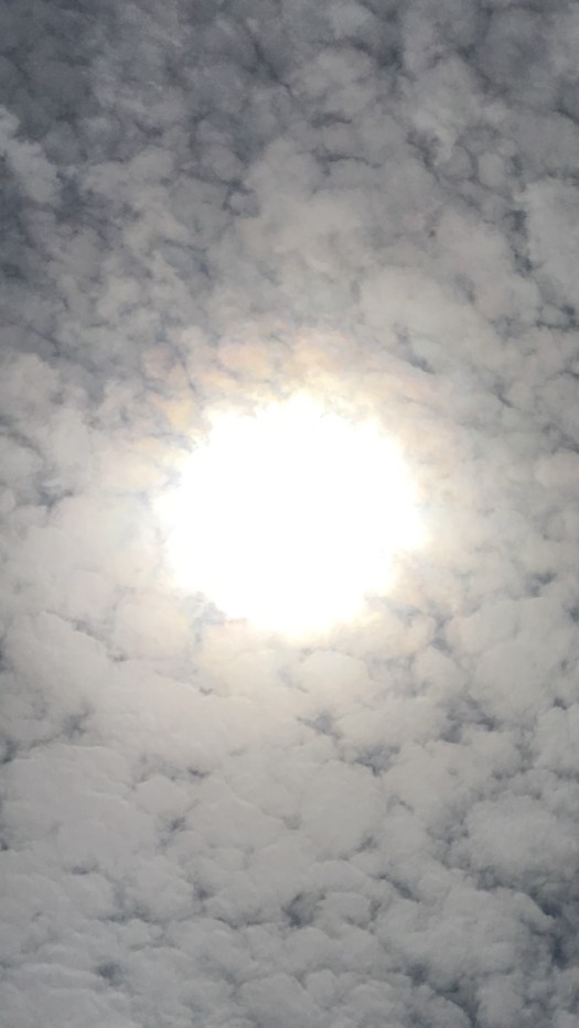 5ACF3BC2-7AA9-4649-9F14-E278674EAA14