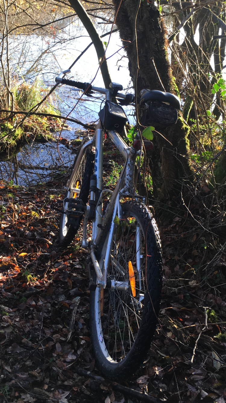 191418C3-8ED2-4F80-AAF7-2027C08A1A4D